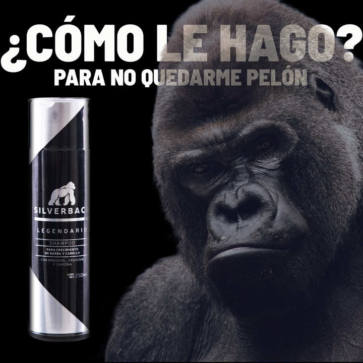 Shampoo Anticaída Legendario Minoxidil, Arginina Bergamota